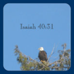 Bald Eagle Sticker stickers