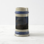 bald eagle stien mugs