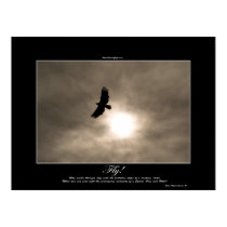 Bald Eagle & Sun Photo Poster posters