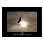 Bald Eagle & Sun Photo Poster