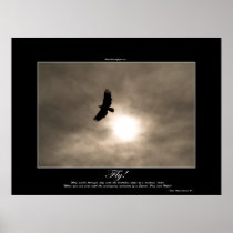 Bald Eagle & Sun Photo Poster
