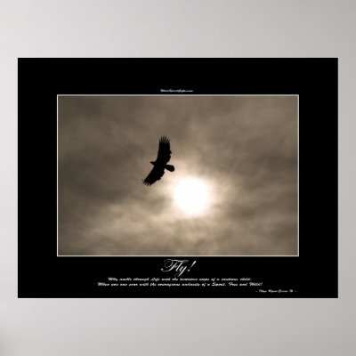 Bald Eagle & Sun Photo Poster by RavenSpiritPrints