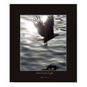 Bald Eagle & Sunlight Photo Poster posters by RavenSpiritPrints Bald Eagle & Sunlight Photo Poster posters