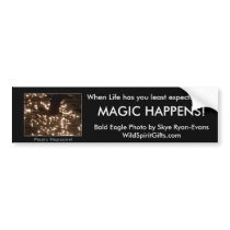 BALD EAGLE & SUNLIT WATER bumper stickers by RavenSpiritPrints BALD EAGLE & SUNLIT WATER bumper stickers