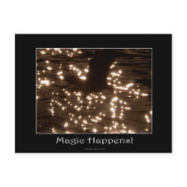 BALD EAGLE & SUNLIT WATER postcards by RavenSpiritPrints BALD EAGLE & SUNLIT WATER postcards