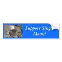 Bald Eagle Support Single Moms! bumper stickers