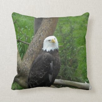Bald Eagle Throw Pillow