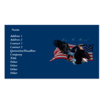 Bald Eagle/US Flag Business Card