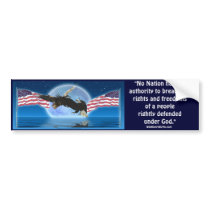 BALD EAGLE & US FLAG Patriot Series Bumper Stickers