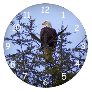 Bald Eagle Wall Clock