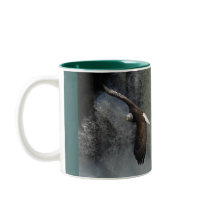 BALD EAGLE & WATER FALL Gift Item Mug