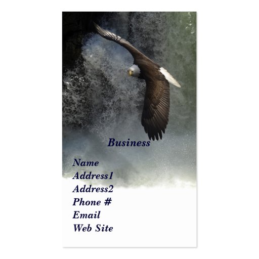 Bald Eagle & Waterfalls Business Cards (front side)