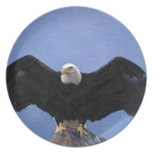bald eagle wingspan plates