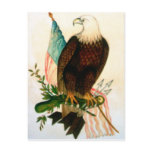 Bald eagle with flag postcards