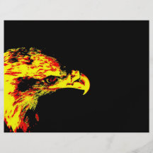 bald eagle yellow graphic black back flyer