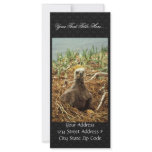 Bald Eagle Young in Nest Customized Rack Card