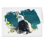 Bald Eagle Yukon River Greeting Cards