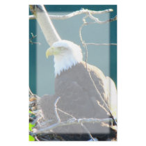 Bald Eagle Yukon River Custom Stationery