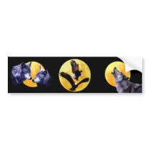 Bald eagles and full moon bumper sticker