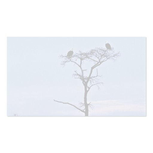 Bald Eagles at Reelfoot National Wildlife Refuge Business Card Templates (back side)