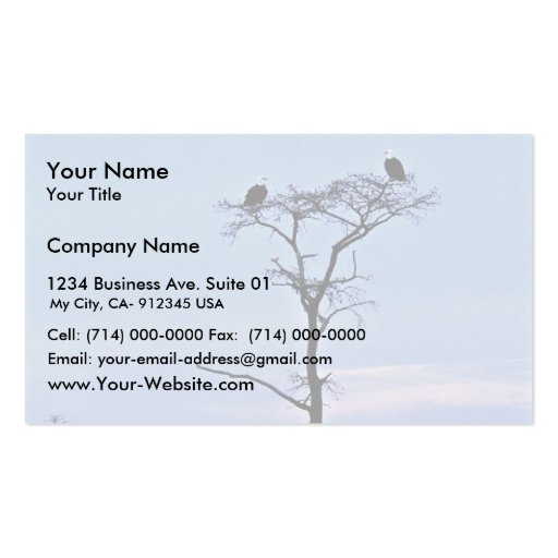 Bald Eagles at Reelfoot National Wildlife Refuge Business Card Templates
