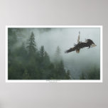 Bald Eagles Battling over a Forest Art Print