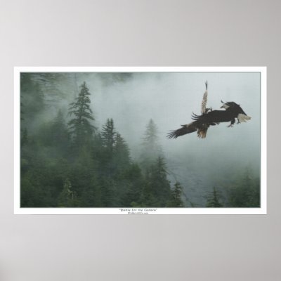 Bald Eagles Battling over a Forest Art Print by RavenSpiritPrints