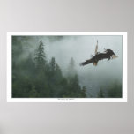 Bald Eagles Battling over a Forest Huge Art Print