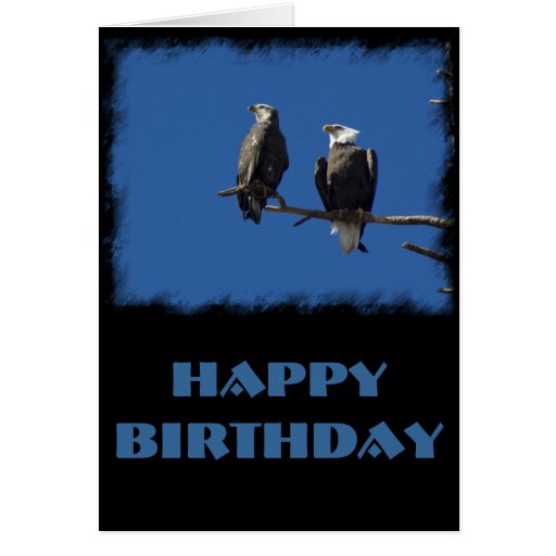 Bald Eagles Birthday Card | Zazzle
