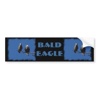 Bald Eagles Bumper Stickers