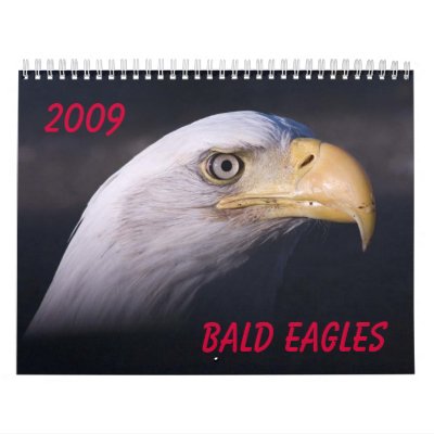 Bald Eagles Calendar Bald Eagles Calendar
