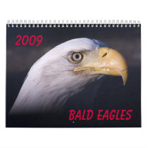 Bald Eagles calendars by beverlytazangel Bald Eagles calendars