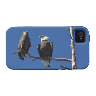 Bald Eagles Case-Mate iPhone 4 Covers