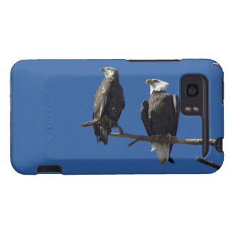 Bald Eagles HTC Vivid Case