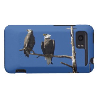 Bald Eagles HTC Vivid Cases