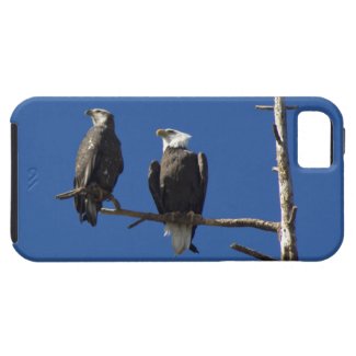 Bald Eagles iPhone 5 Covers