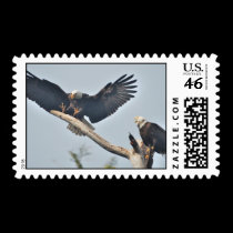 Bald Eagles stamps