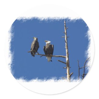Bald Eagles Stickers