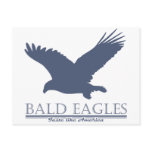 Bald Eagles Taste Like America Post Cards
