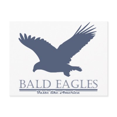Bald Eagles Taste Like America Post Cards by Douchebaggery