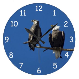 Bald Eagles Wall Clock