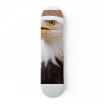 BaldEagle Skate Board