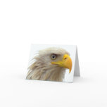 Baldeagleupclose Greeting Card