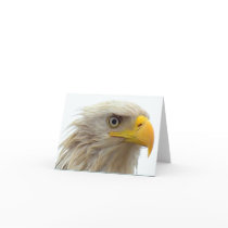 Baldeagleupclose cards by BIGDEWY Baldeagleupclose cards