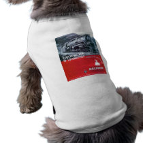 Baldwin Locomotive S-2 Steam Turbine Locomotive pet clothing by stanrail Baldwin Locomotive S-2 Steam Turbine Locomotive pet clothing