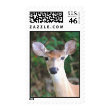 Baldy Deer Stamps
