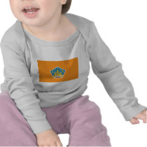 Bali Flag t-shirts