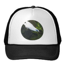 Bali Myna Hats