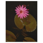 baliflower flyer