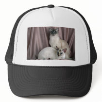 Balinese, blue tabby point and seal tortie point hats